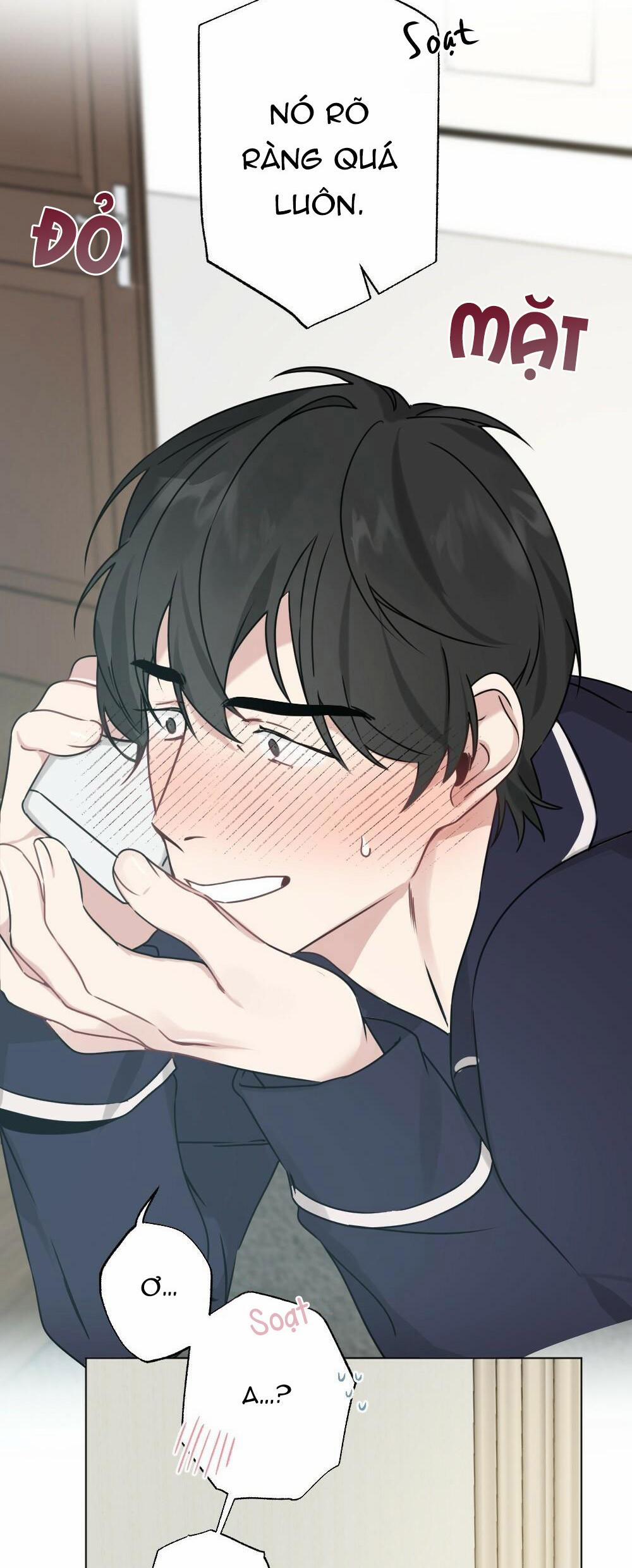 CHĂM SÓC 28 trang 19