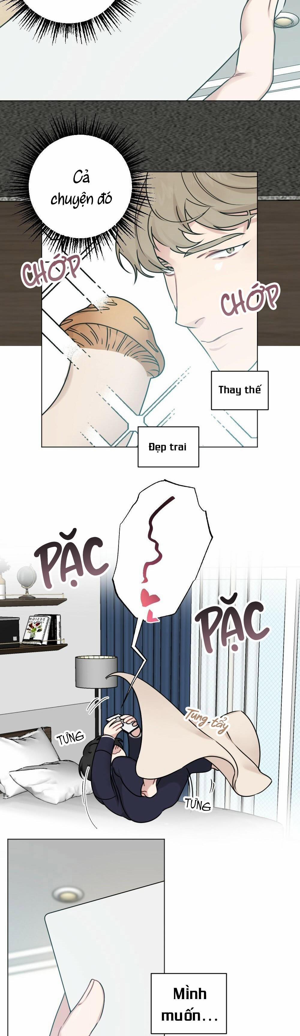 CHĂM SÓC 28 trang 2