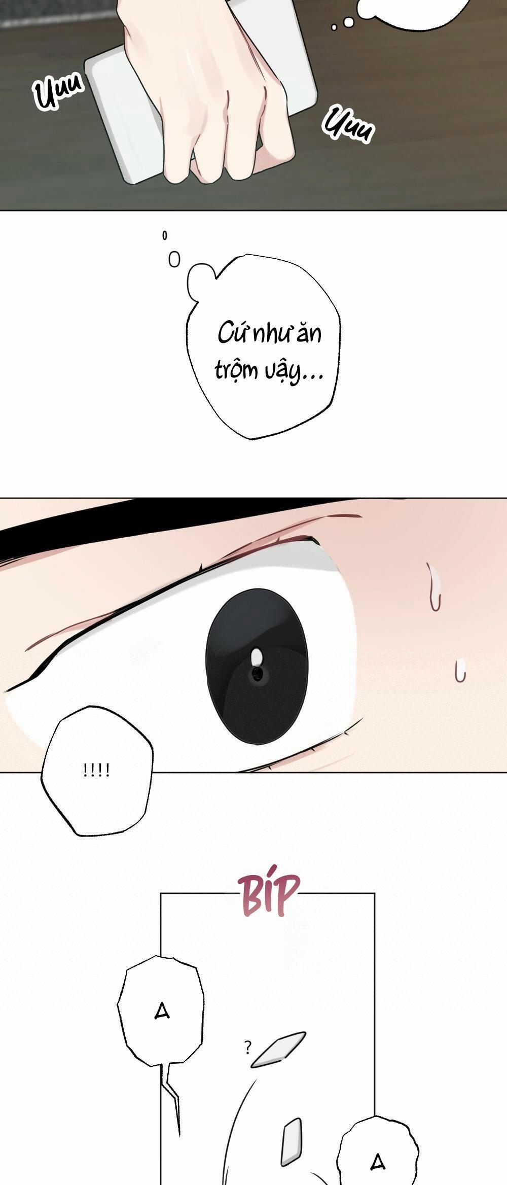 CHĂM SÓC 28 trang 7