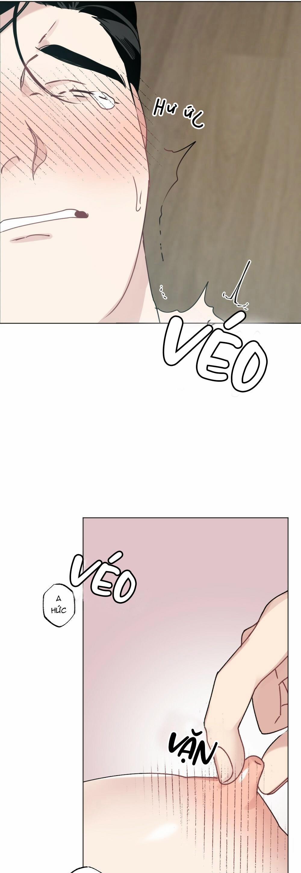 CHĂM SÓC 31 trang 12