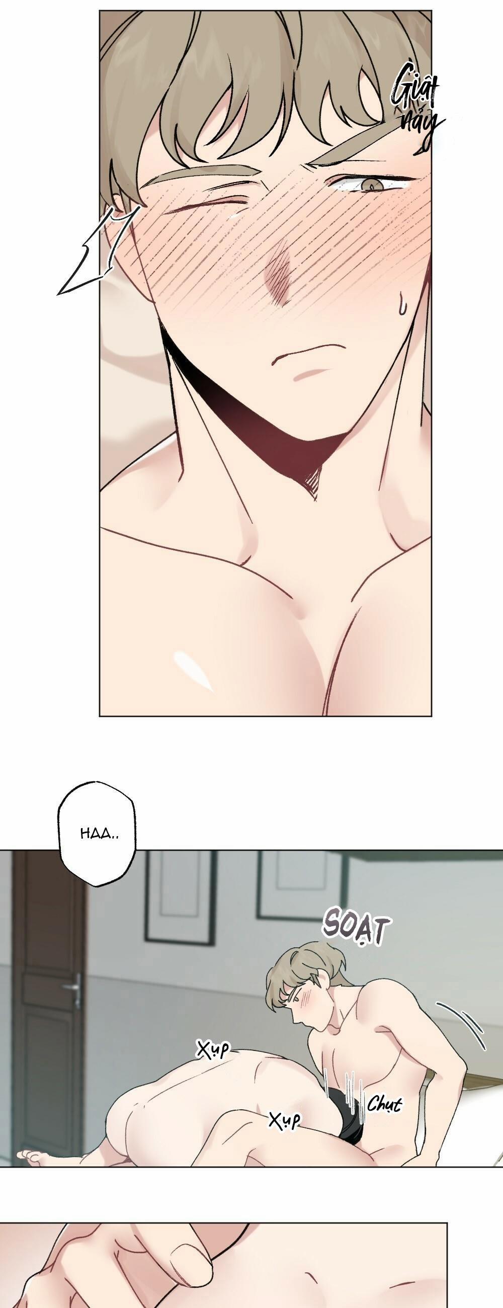 CHĂM SÓC 31 trang 31