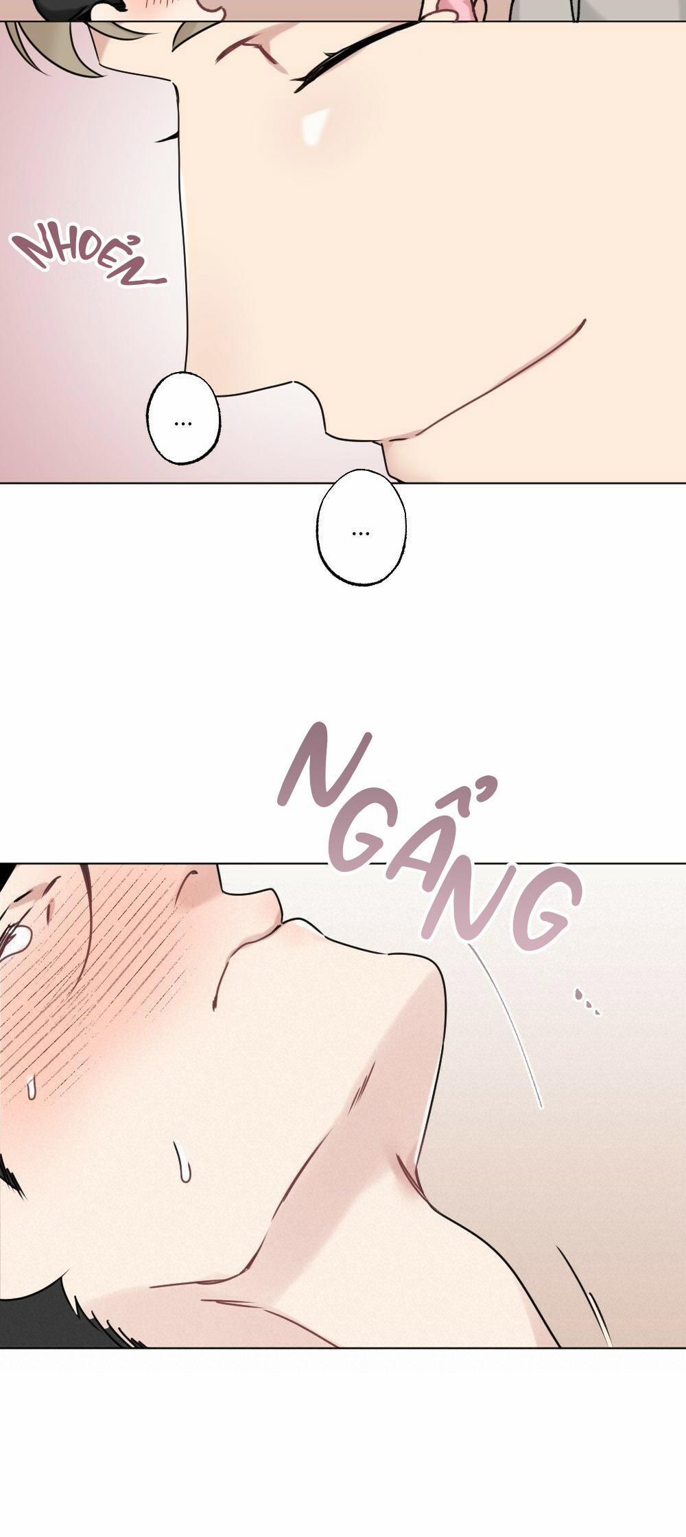 CHĂM SÓC 31 trang 6