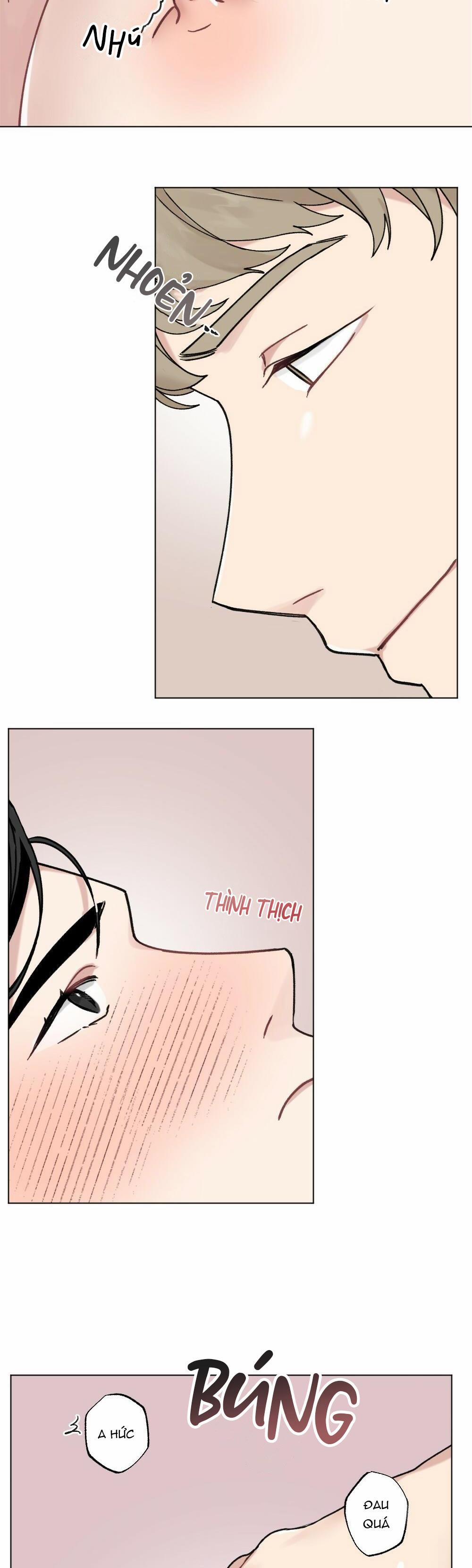 CHĂM SÓC 31 trang 9