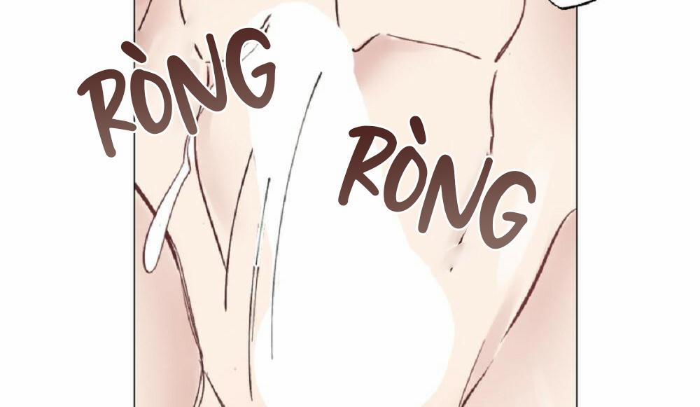 CHĂM SÓC 32 trang 17