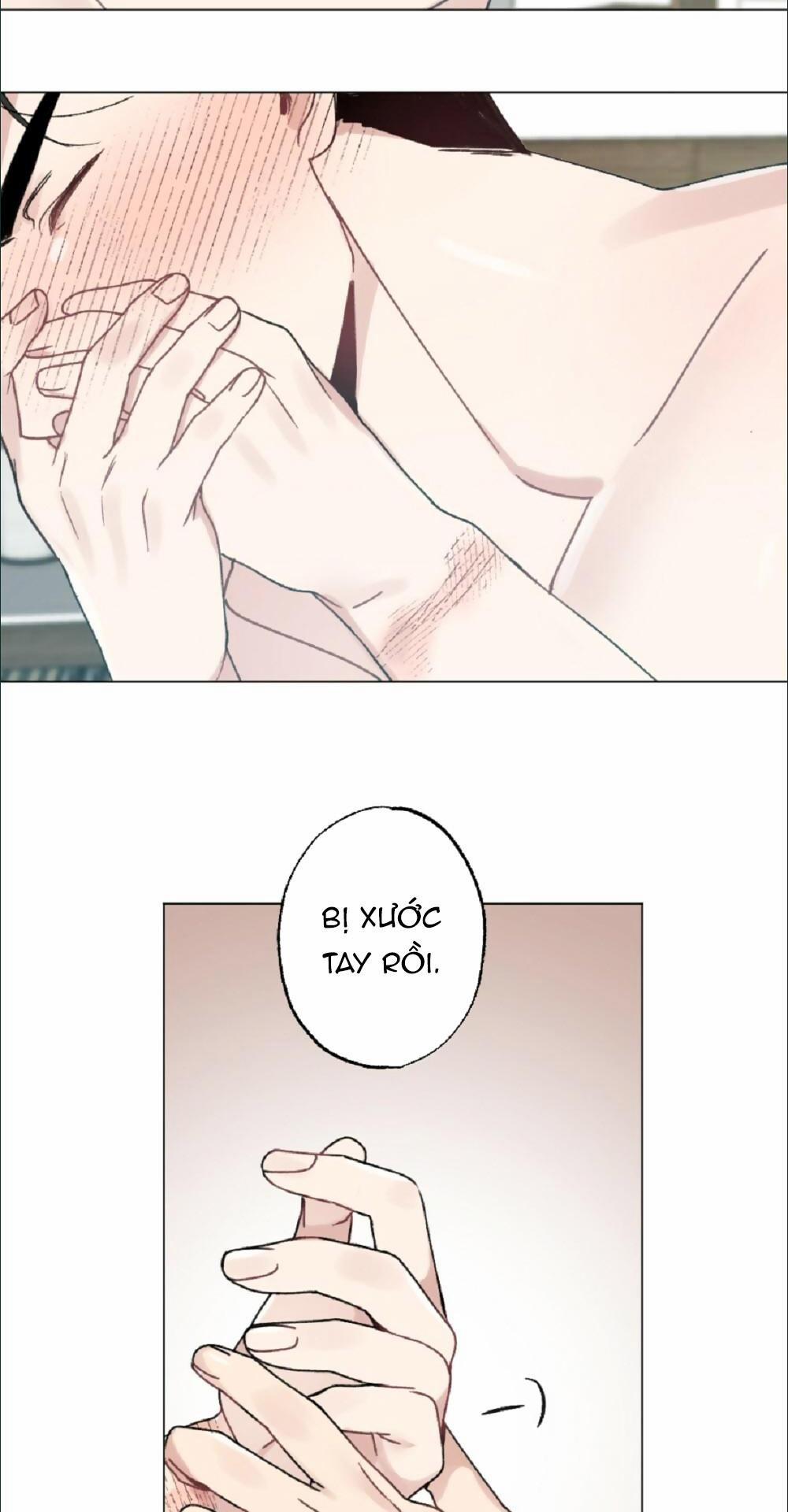 CHĂM SÓC 33 trang 9