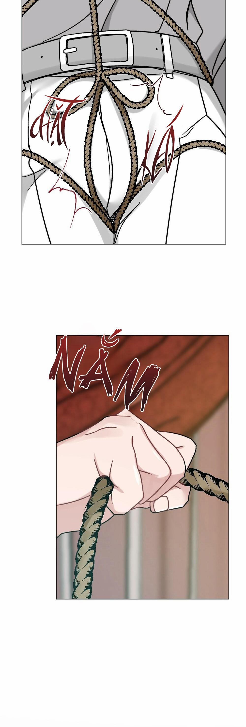 CHĂM SÓC 34 trang 11