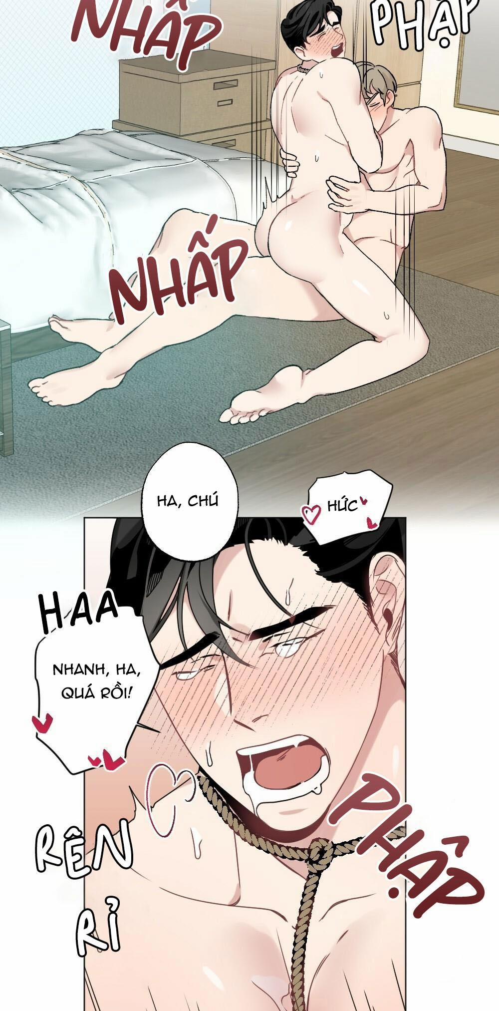 CHĂM SÓC 35 trang 23