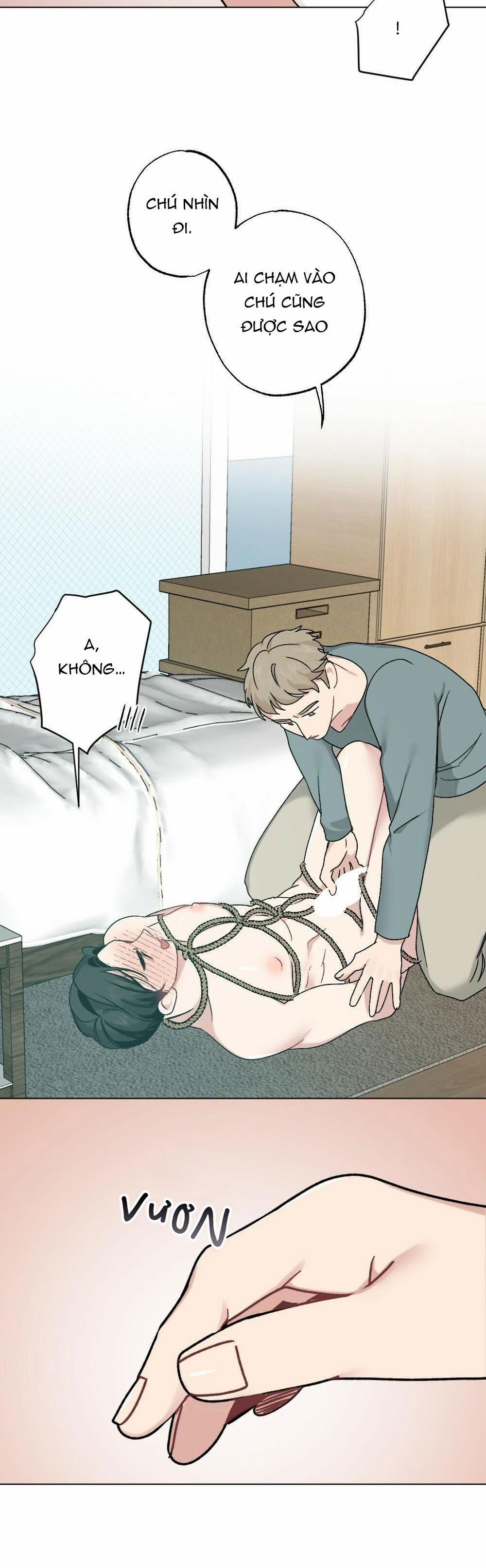 CHĂM SÓC 35 trang 5