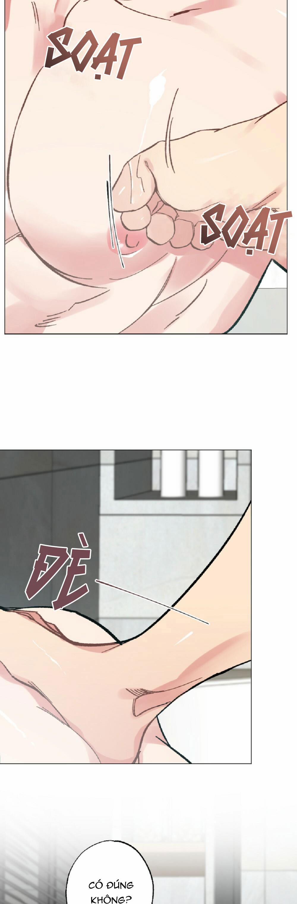 CHĂM SÓC 36 trang 36