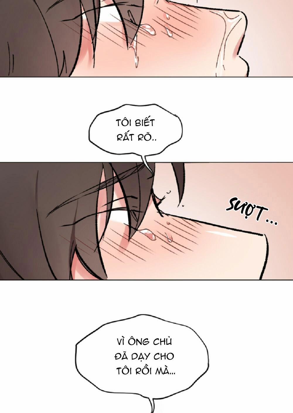 CHĂM SÓC 36 trang 38