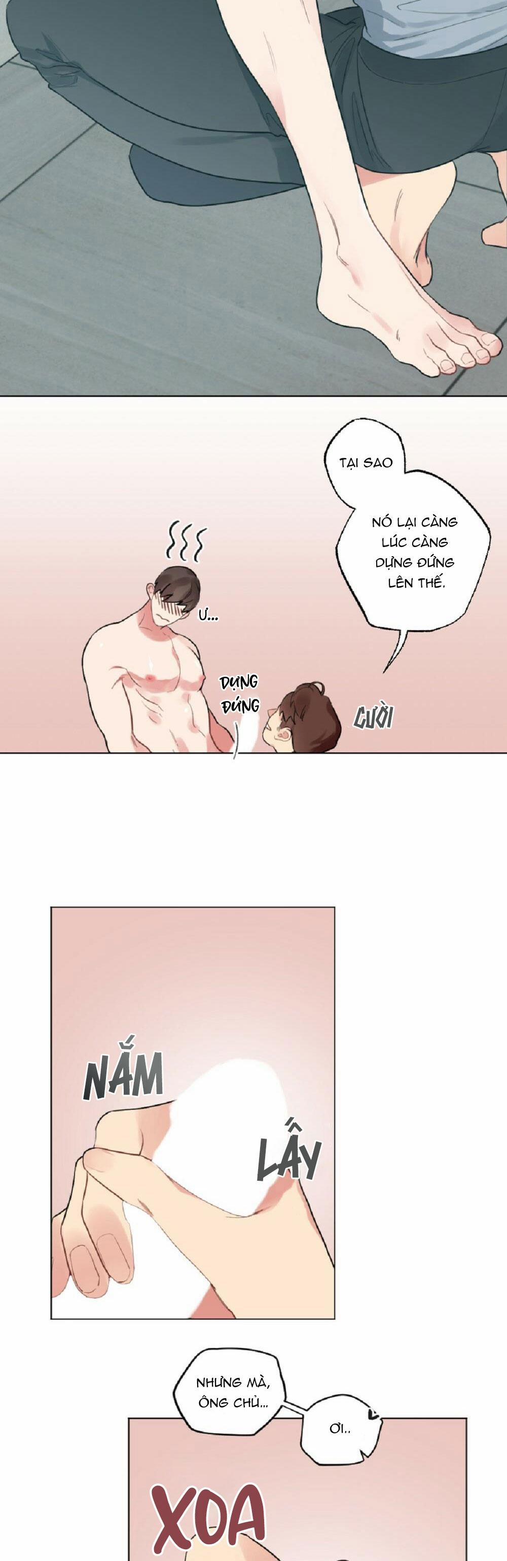 CHĂM SÓC 36 trang 4