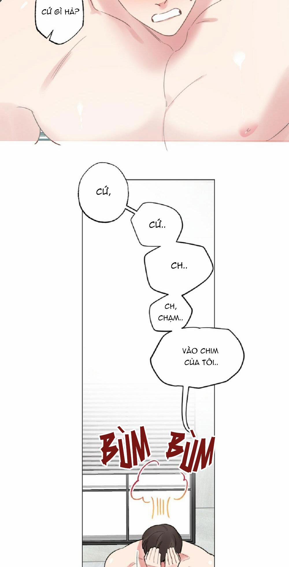 CHĂM SÓC 36 trang 6