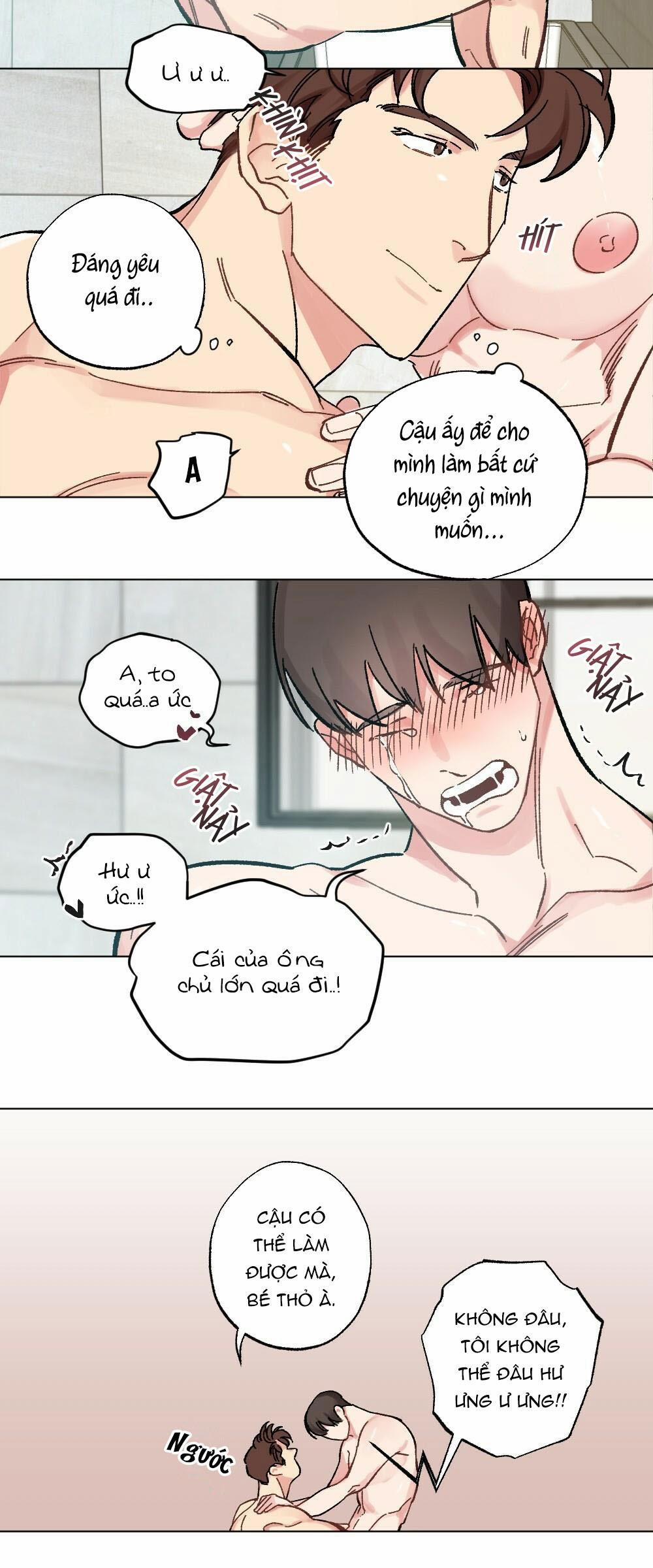 CHĂM SÓC 37 trang 15