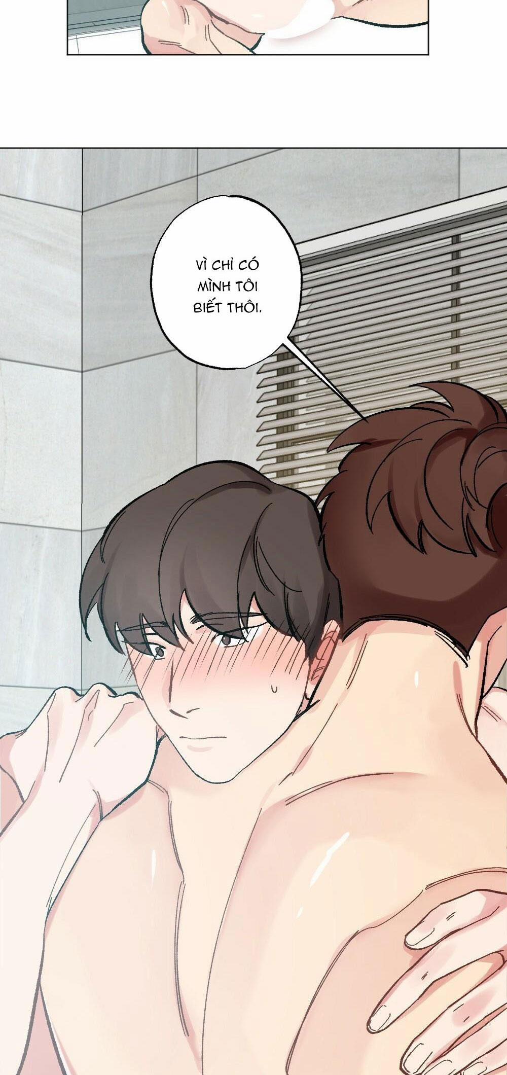 CHĂM SÓC 37 trang 31