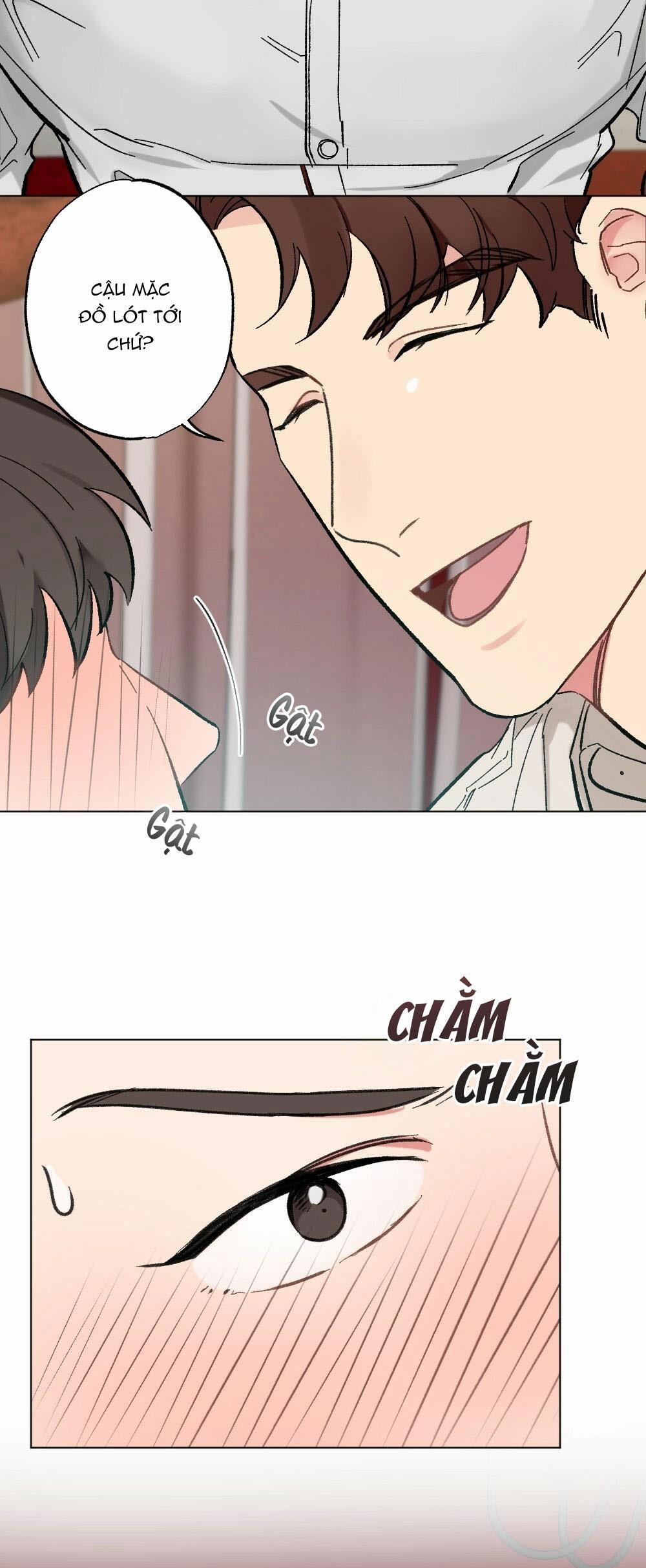 CHĂM SÓC 40 trang 13