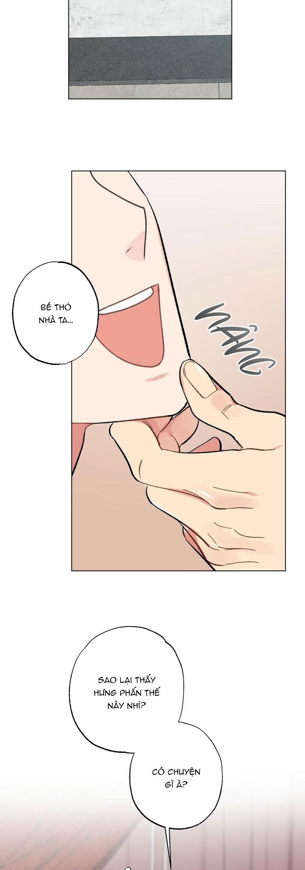 CHĂM SÓC 40 trang 8