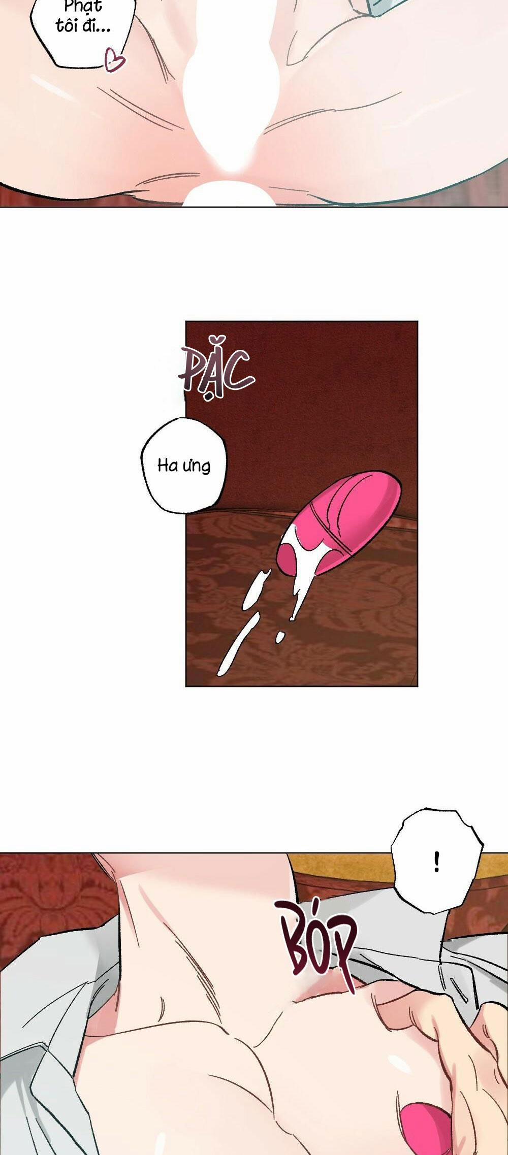 CHĂM SÓC 41 trang 13