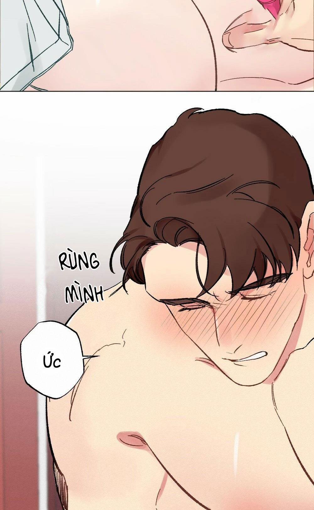 CHĂM SÓC 41 trang 14