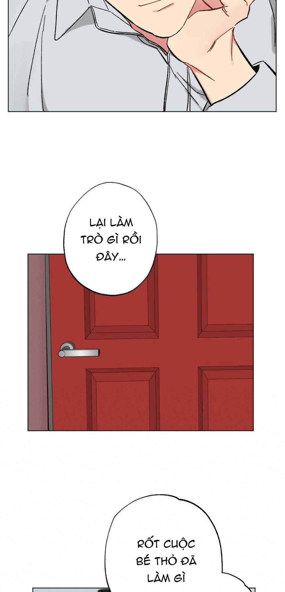 CHĂM SÓC 41 trang 28