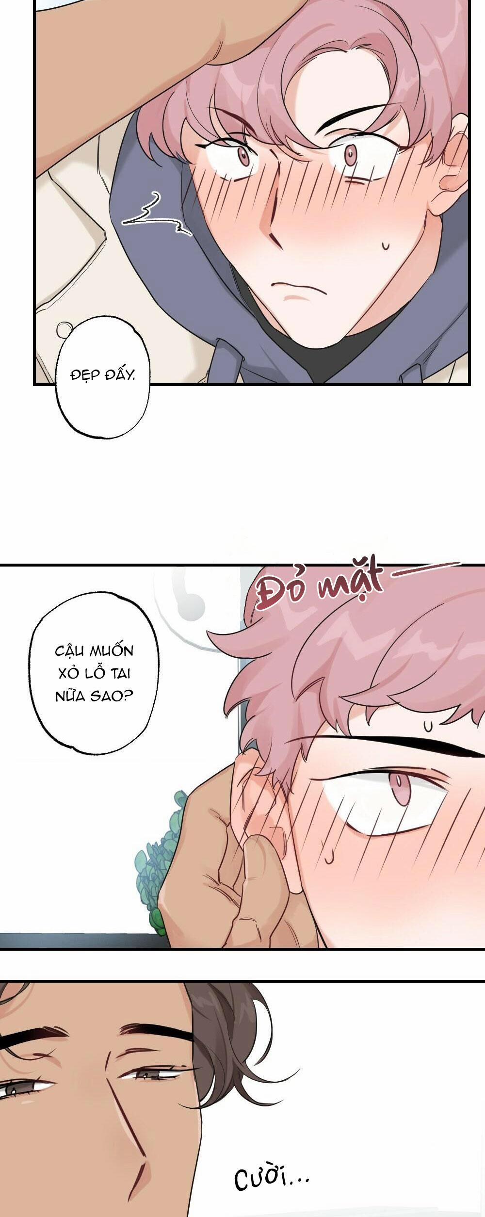 CHĂM SÓC 42 trang 14