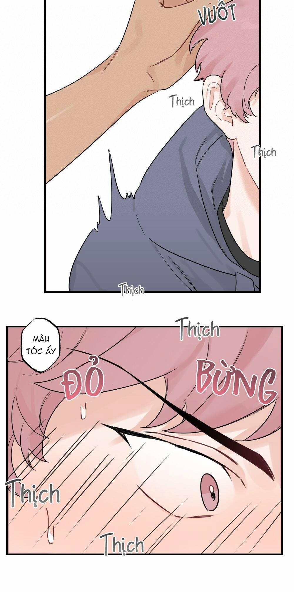 CHĂM SÓC 42 trang 24