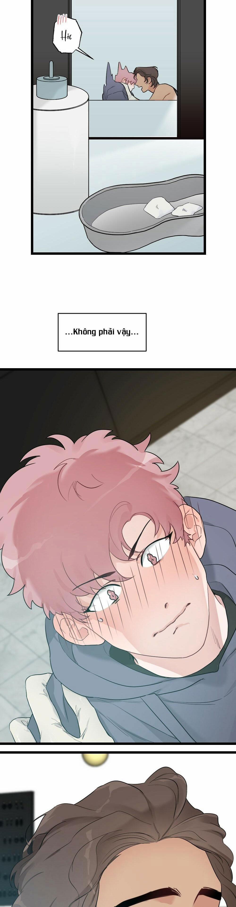 CHĂM SÓC 43 trang 2