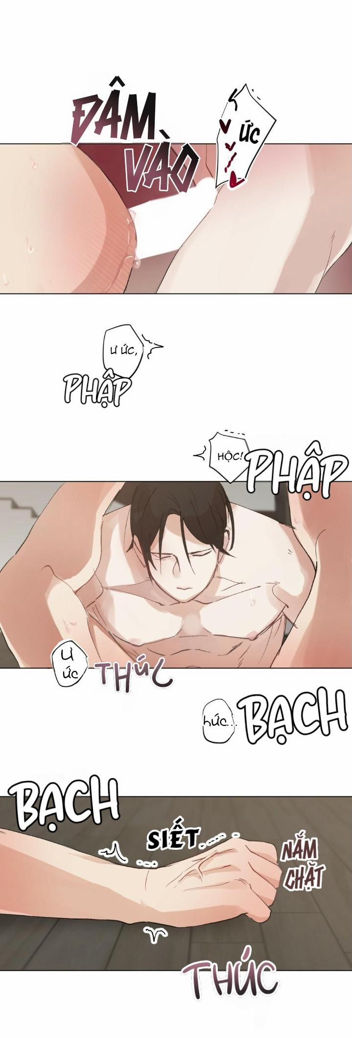 CHĂM SÓC 48 trang 33