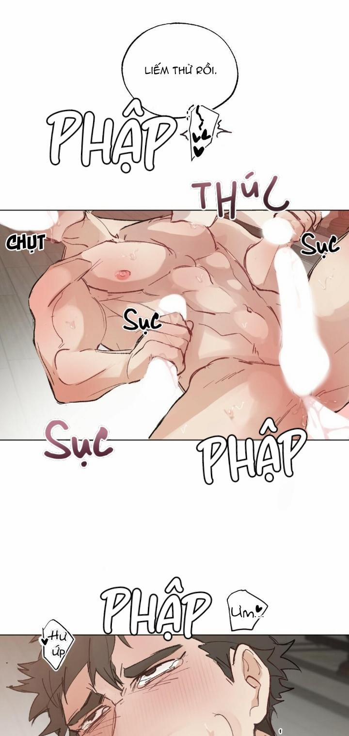 CHĂM SÓC 48 trang 36