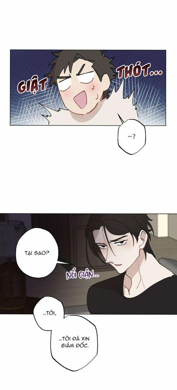 CHĂM SÓC 49 trang 25