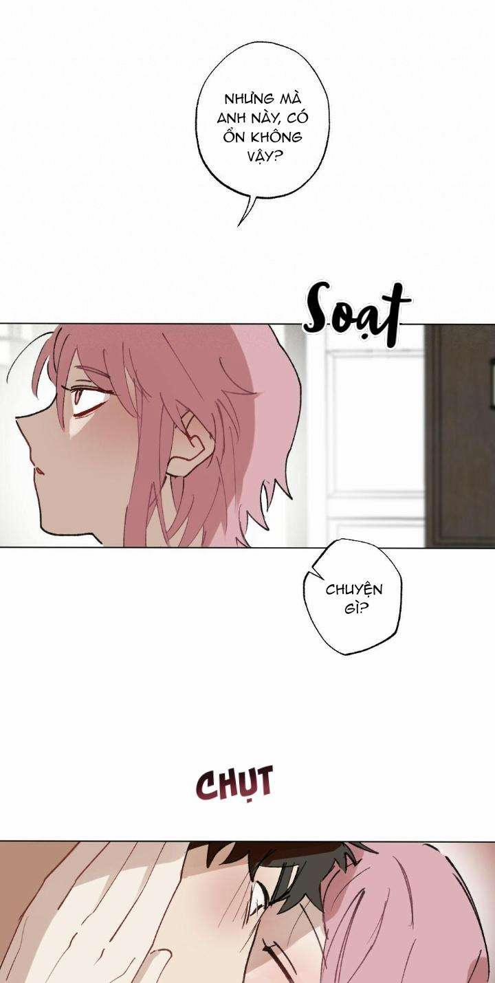 CHĂM SÓC 49 trang 28