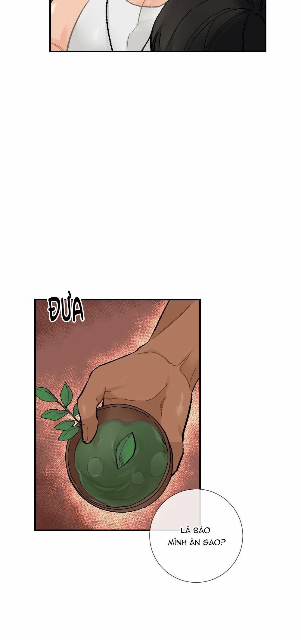 CHĂM SÓC 5 trang 15