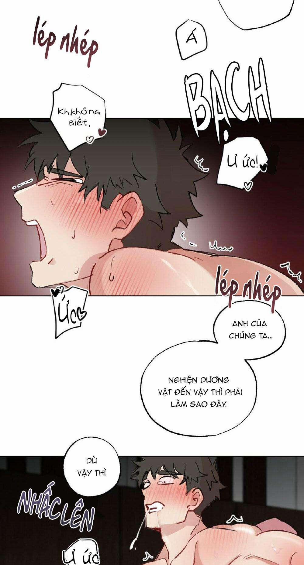 CHĂM SÓC 50 trang 18