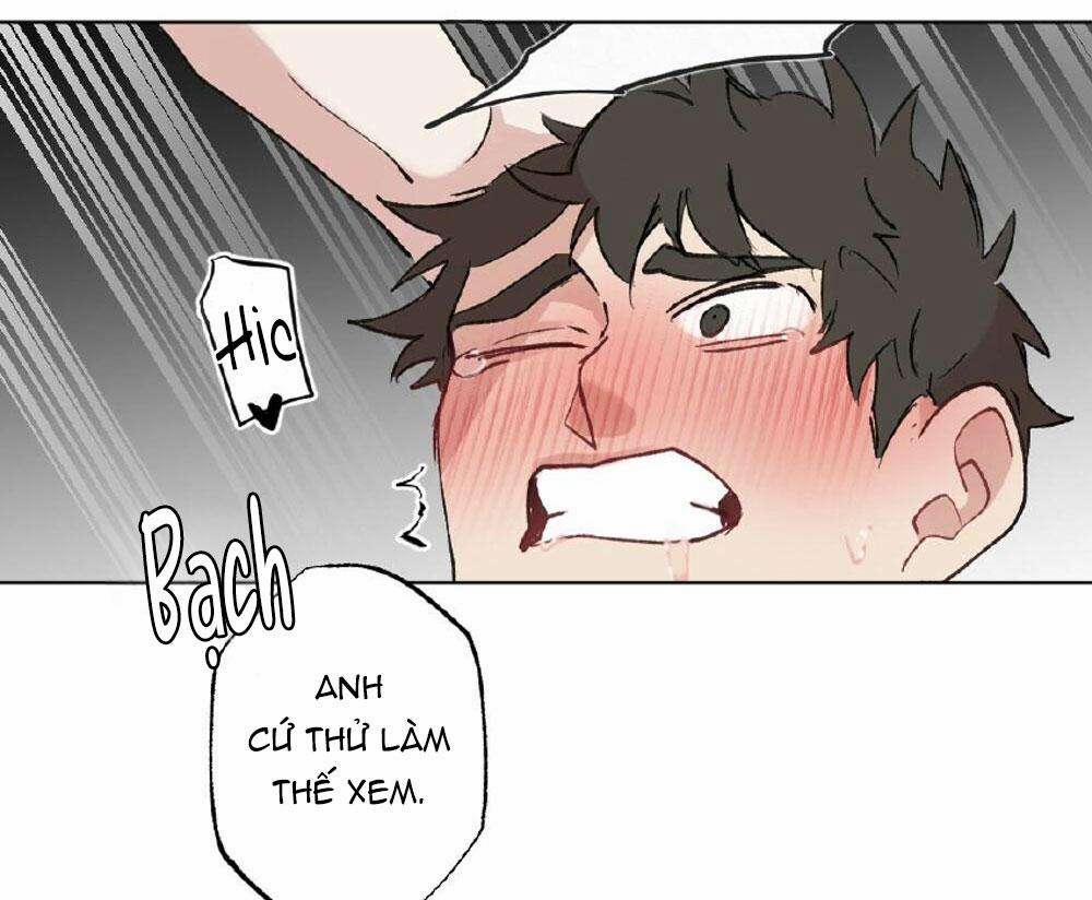 CHĂM SÓC 50 trang 20