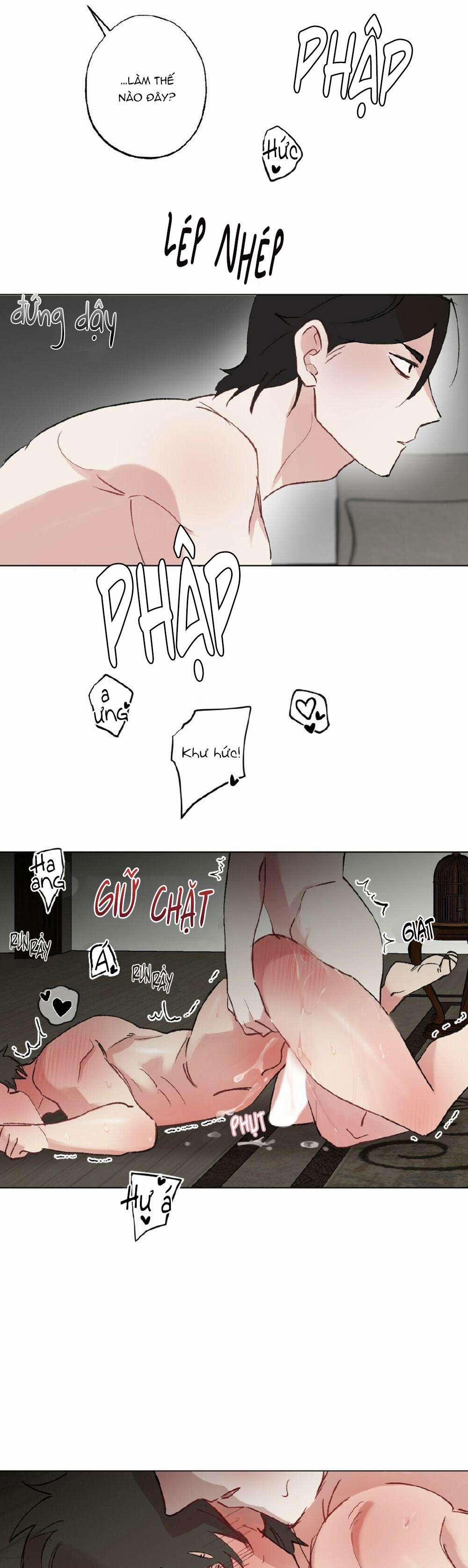 CHĂM SÓC 50 trang 6