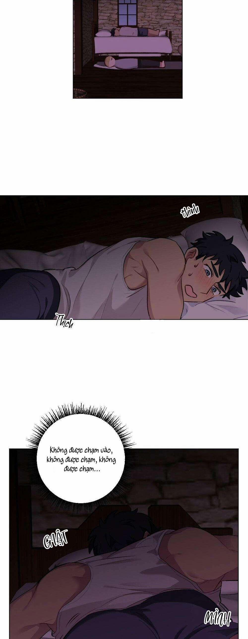 CHĂM SÓC 52 trang 11