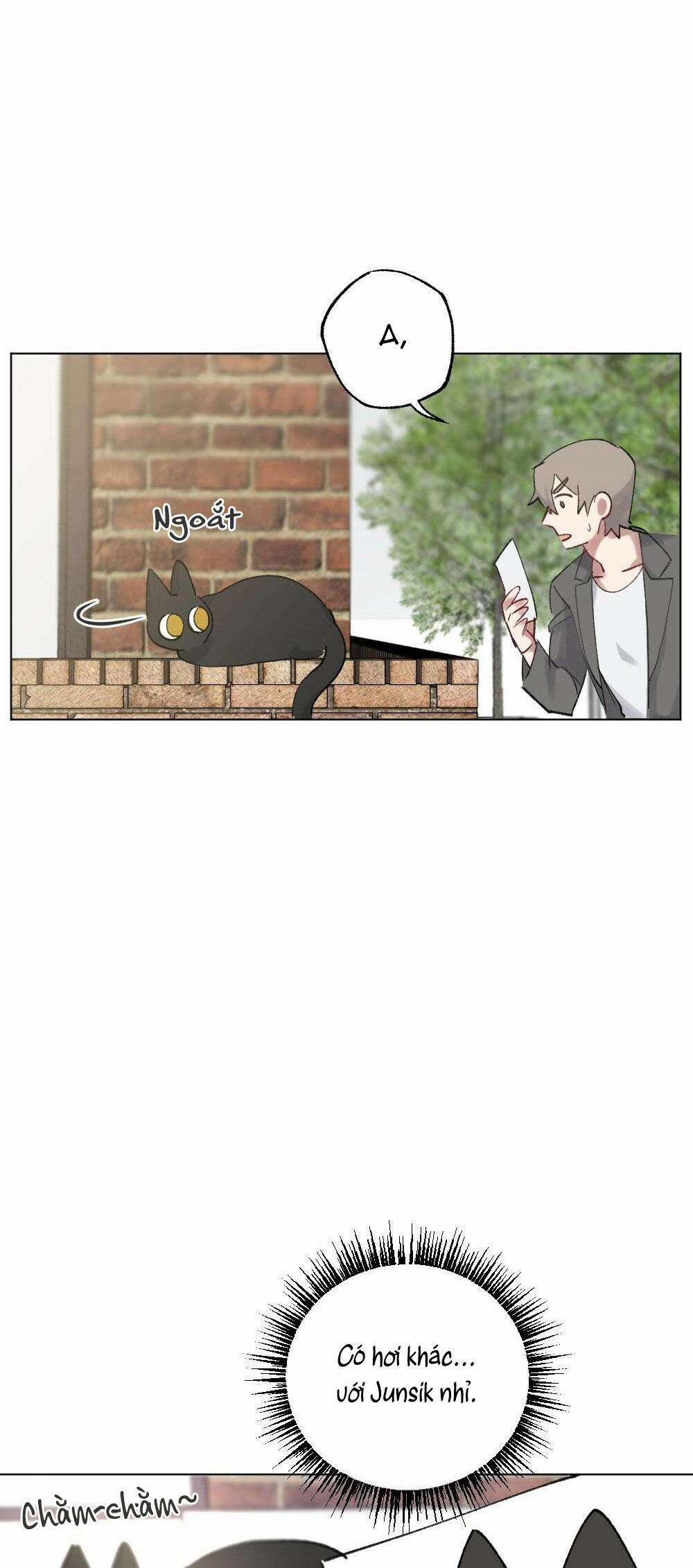 CHĂM SÓC 54 trang 10