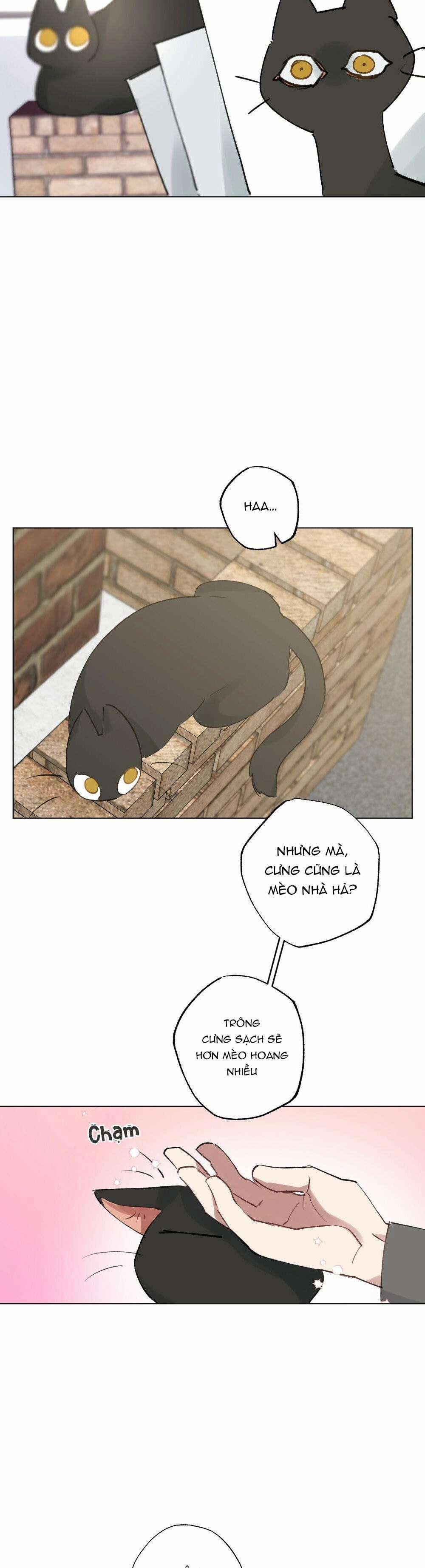 CHĂM SÓC 54 trang 11