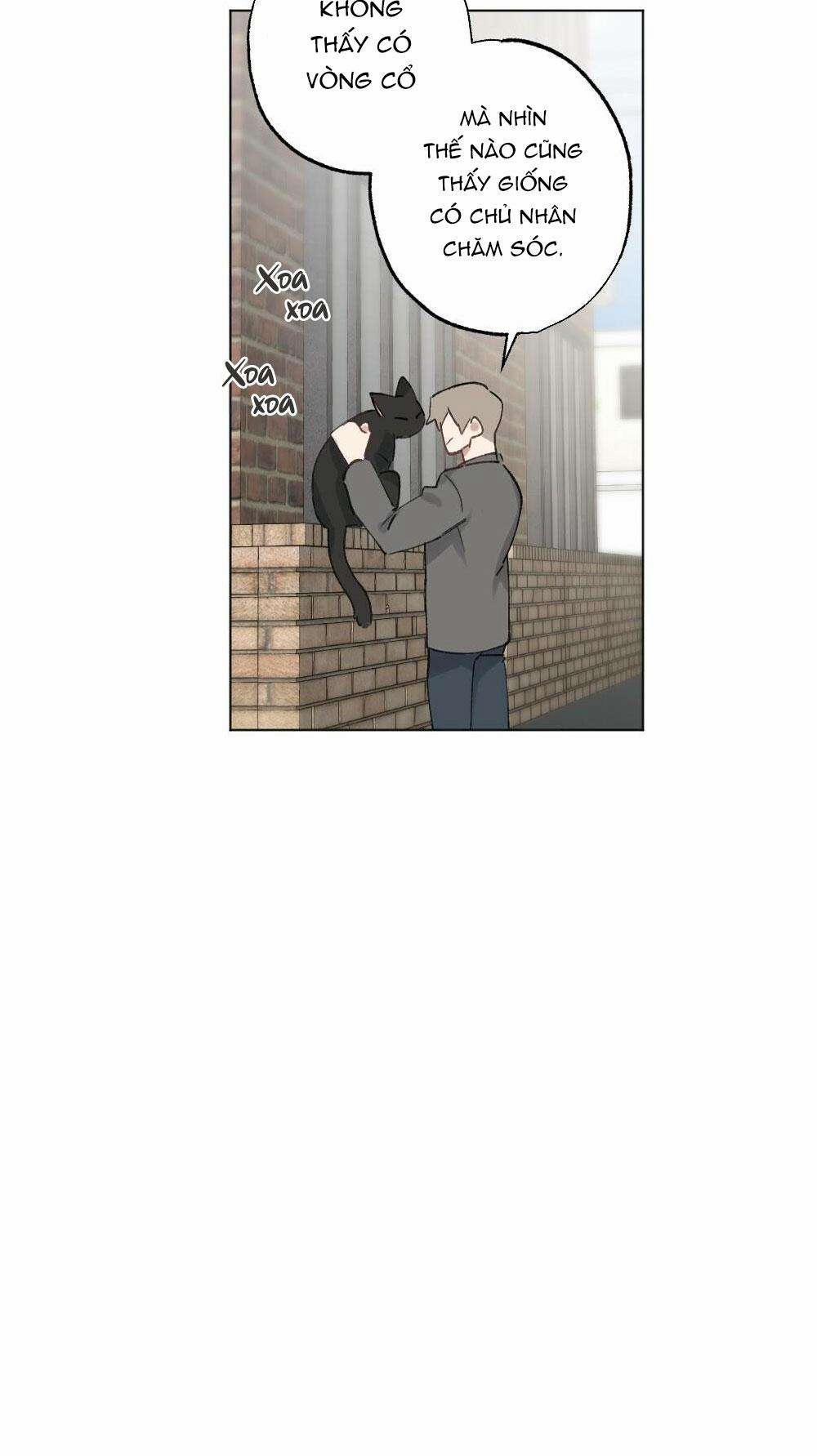 CHĂM SÓC 54 trang 12