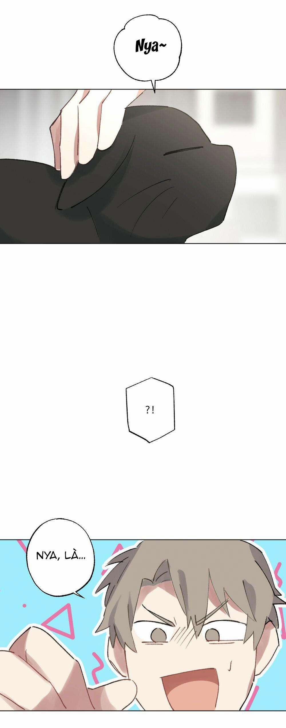 CHĂM SÓC 54 trang 13