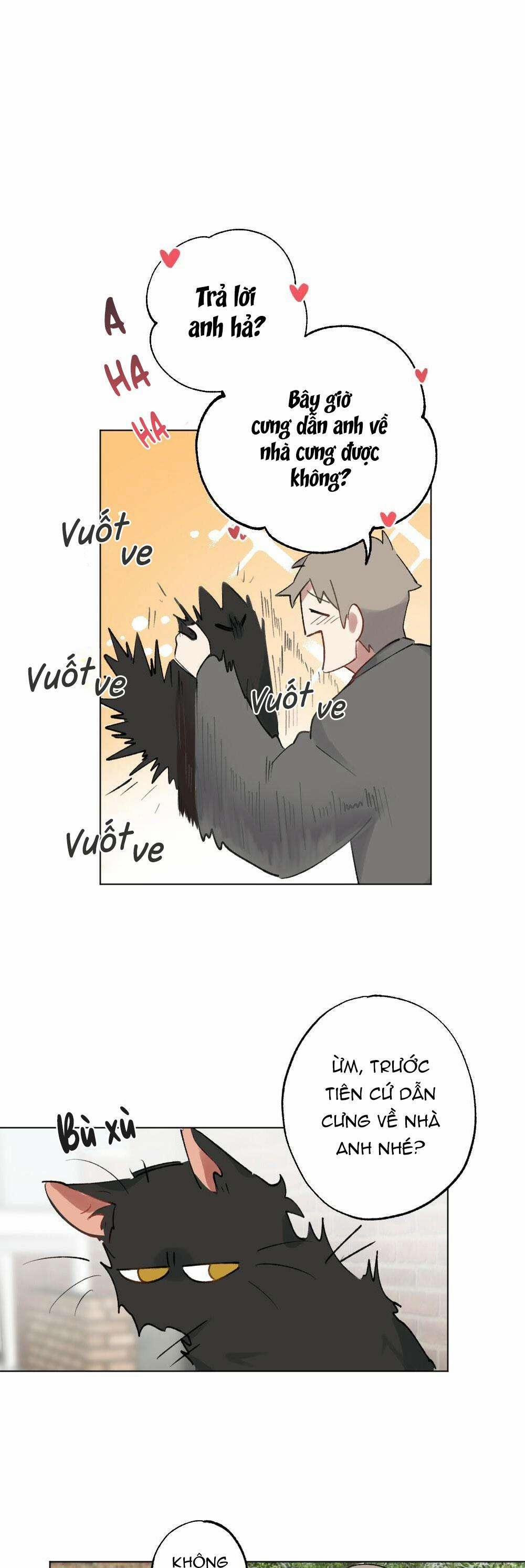 CHĂM SÓC 54 trang 14