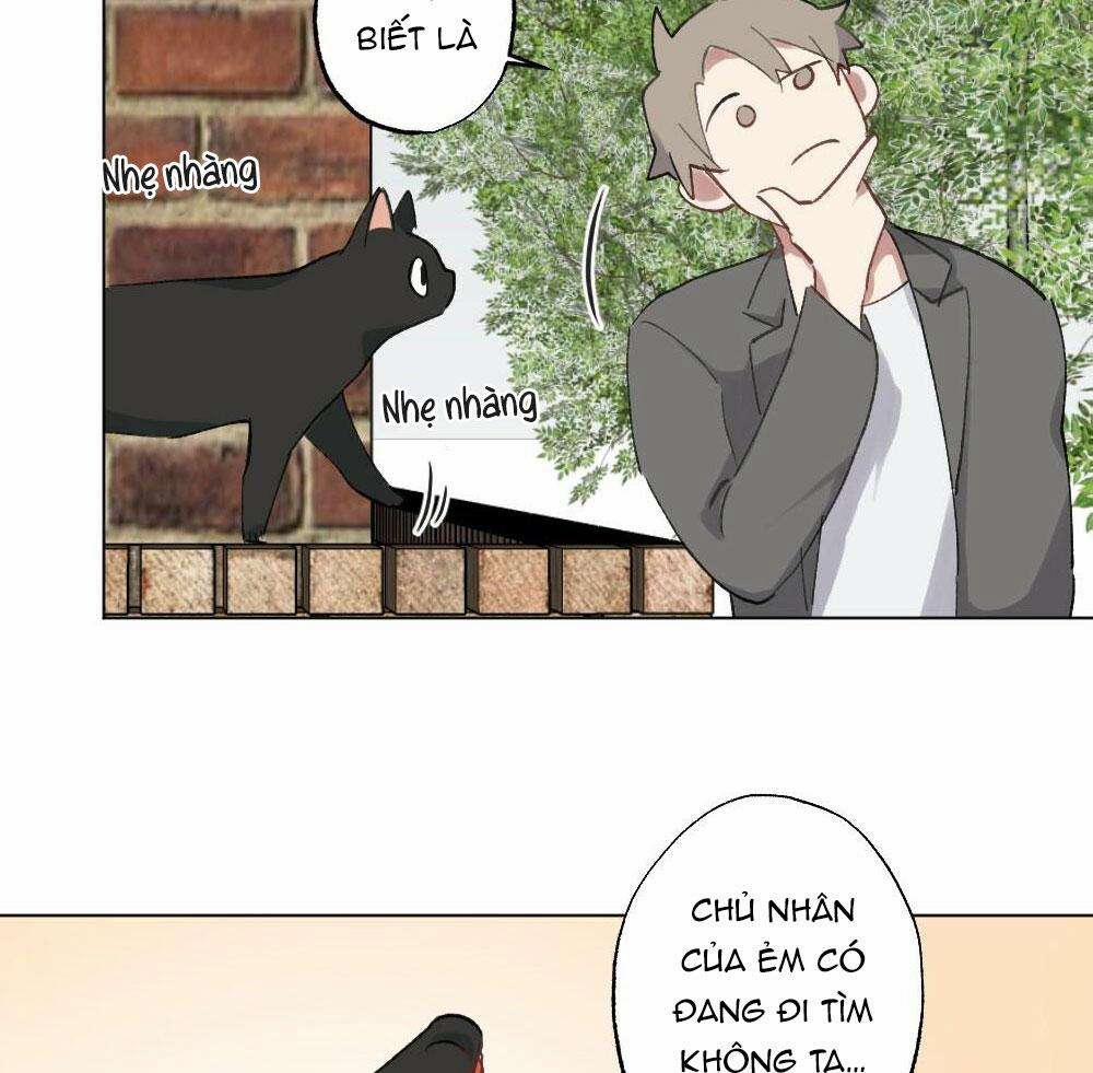 CHĂM SÓC 54 trang 15