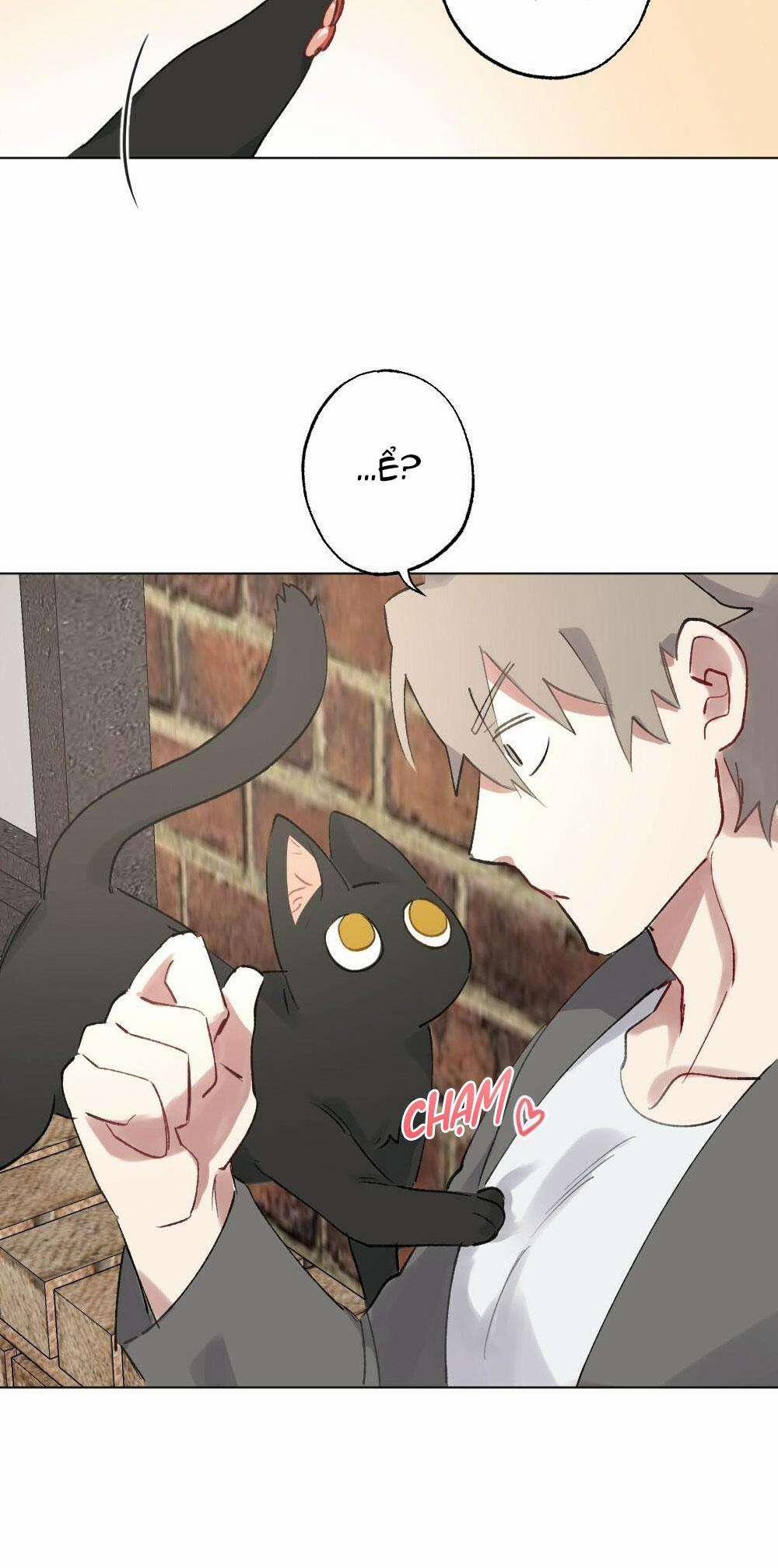 CHĂM SÓC 54 trang 16