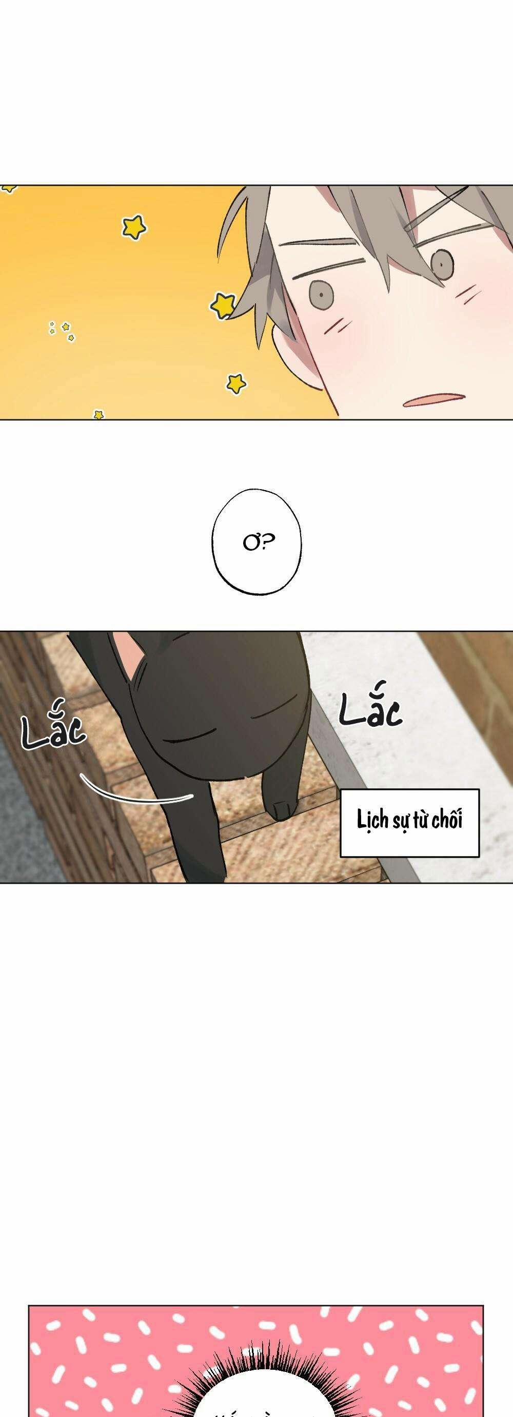 CHĂM SÓC 54 trang 17