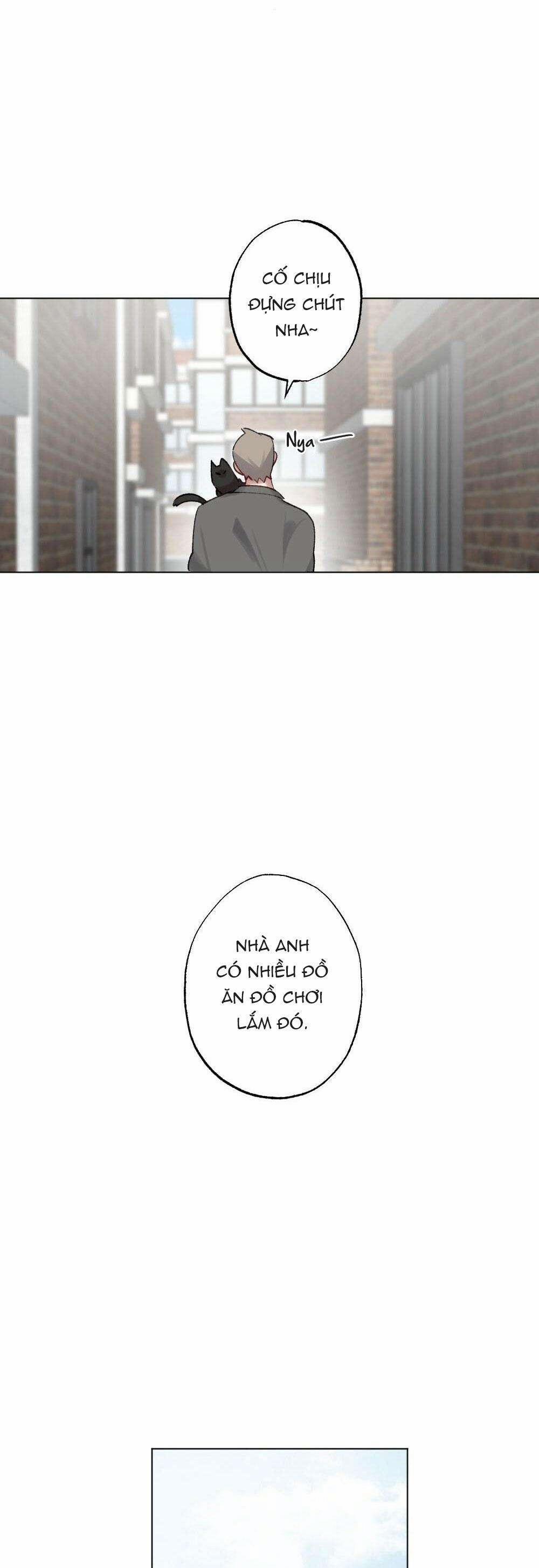 CHĂM SÓC 54 trang 20