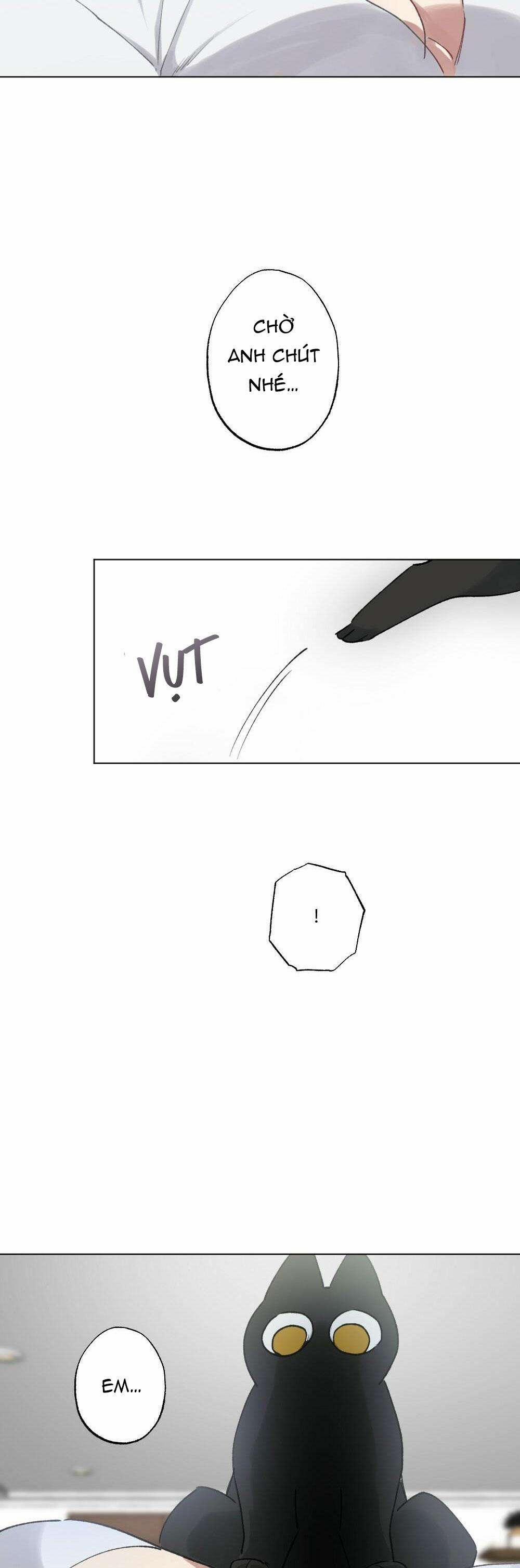 CHĂM SÓC 54 trang 25