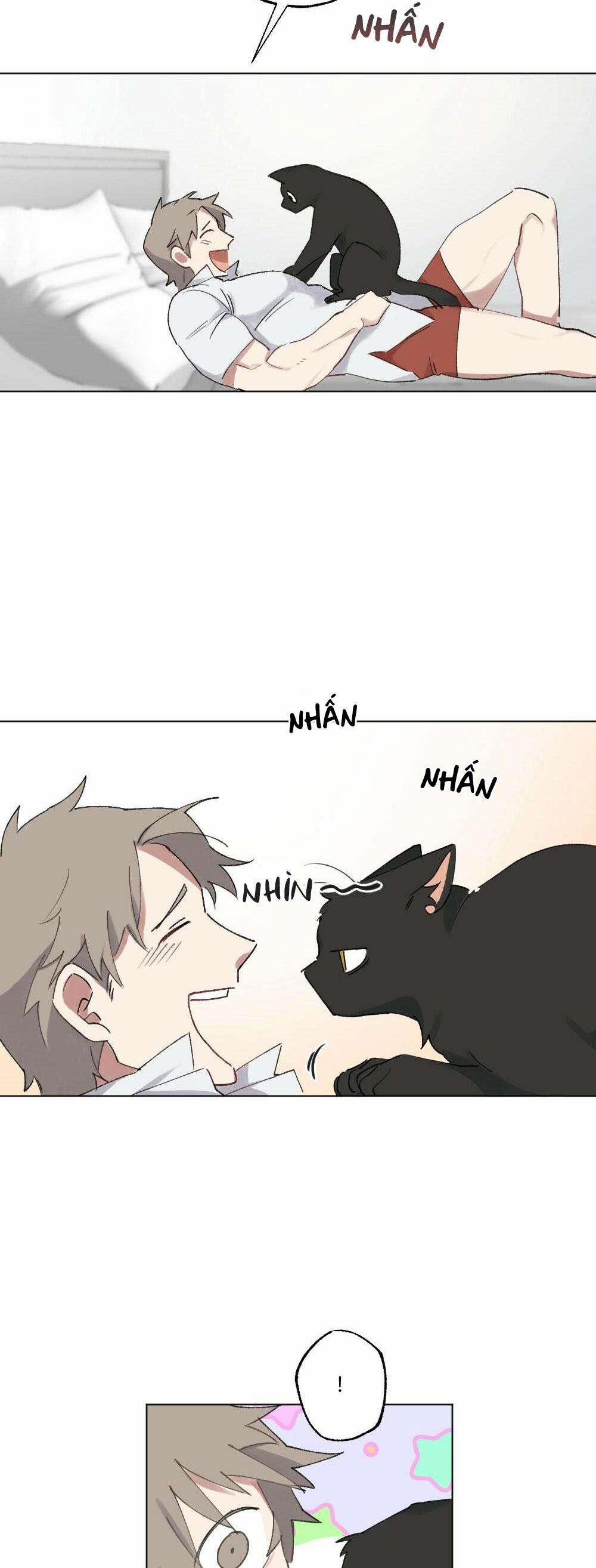 CHĂM SÓC 54 trang 27