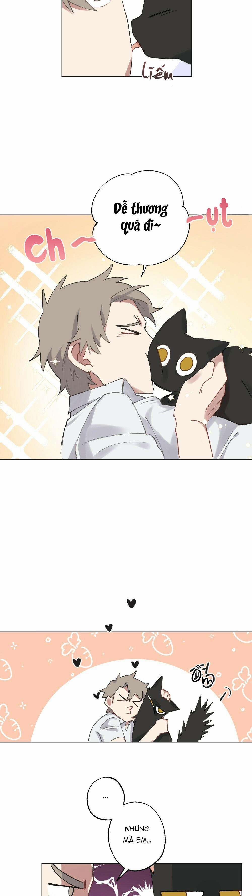 CHĂM SÓC 54 trang 28