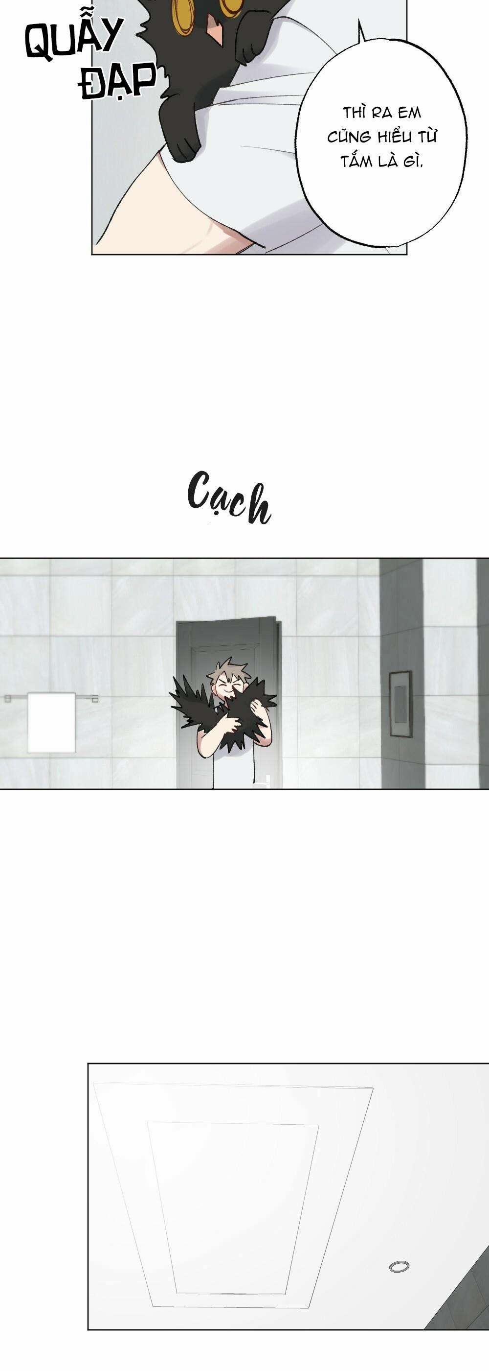 CHĂM SÓC 54 trang 31