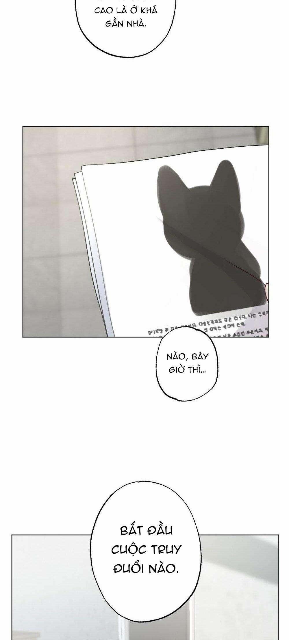 CHĂM SÓC 54 trang 4