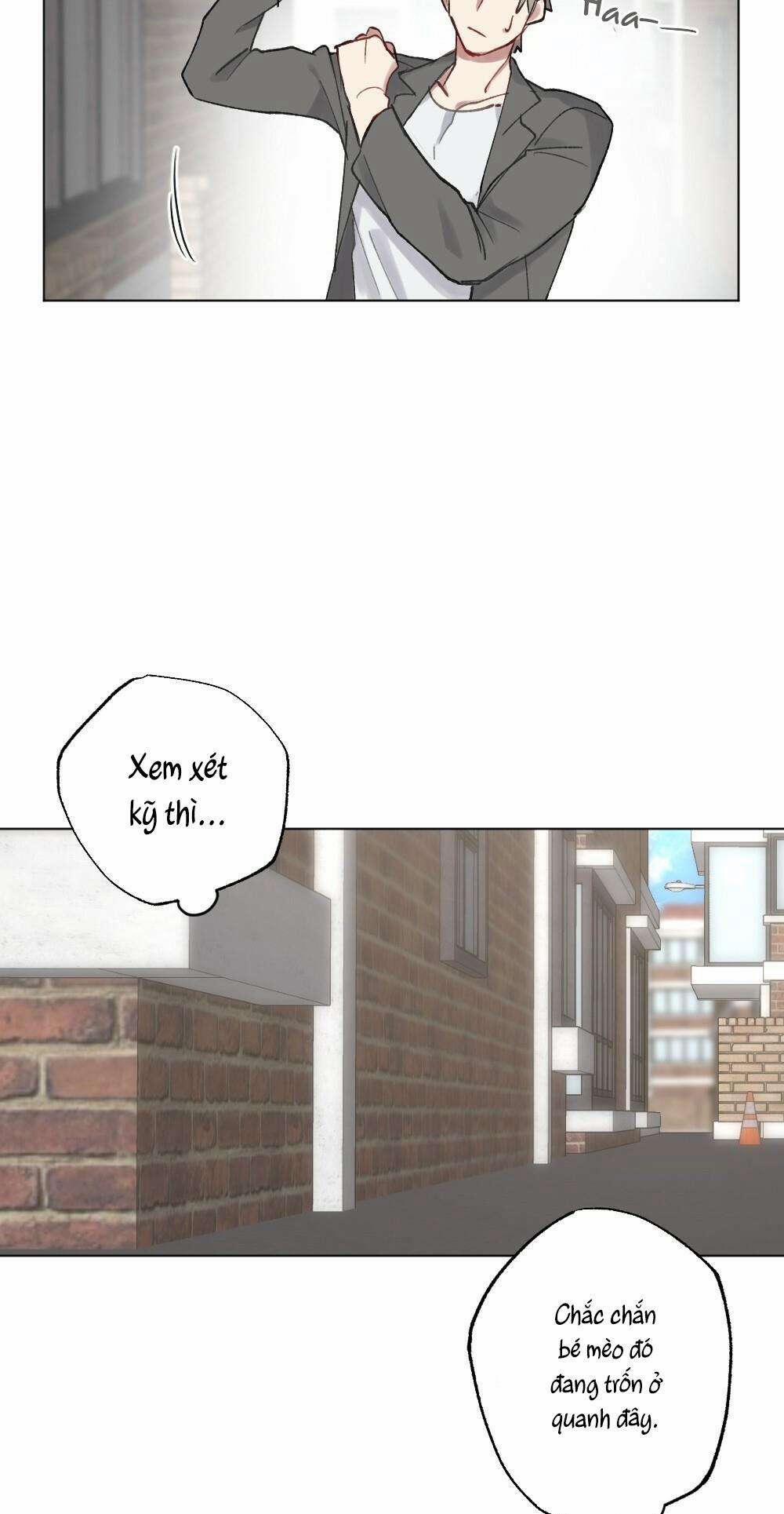 CHĂM SÓC 54 trang 7